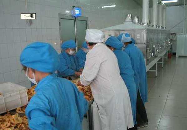 邢台传洋食品厂选择香蕉视频1024在线干燥设备