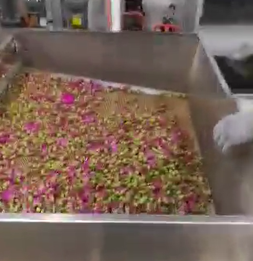花茶香蕉视频1024在线干燥机应用